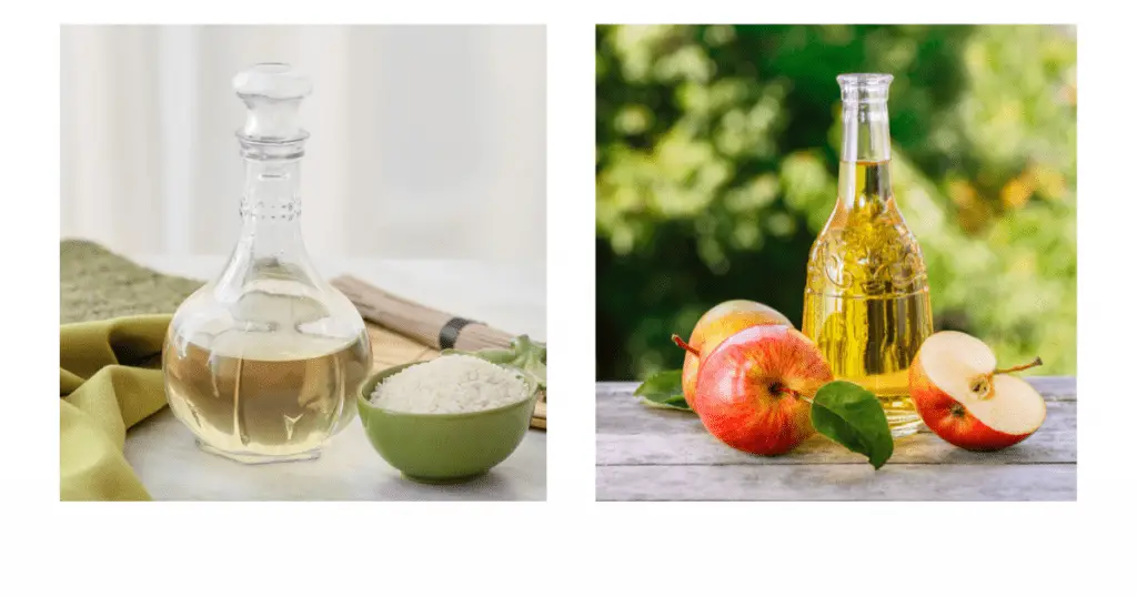 Rice Vinegar vs Apple Cider Vinegar?