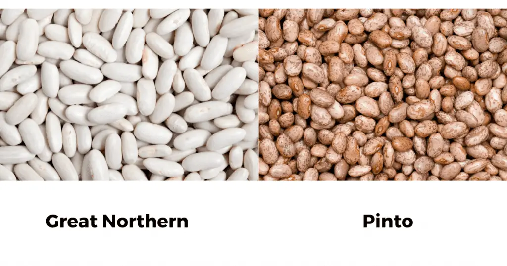 Great Northern Beans vs Pinto Beans?