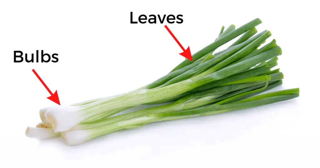 eat green part of spring onions