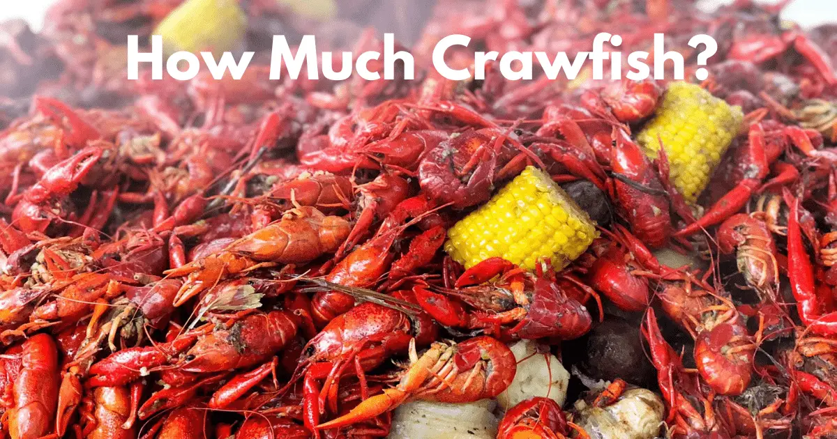 How Many Pounds of Crawfish(Crayfish) Are in A Sack? – Housetriumph
